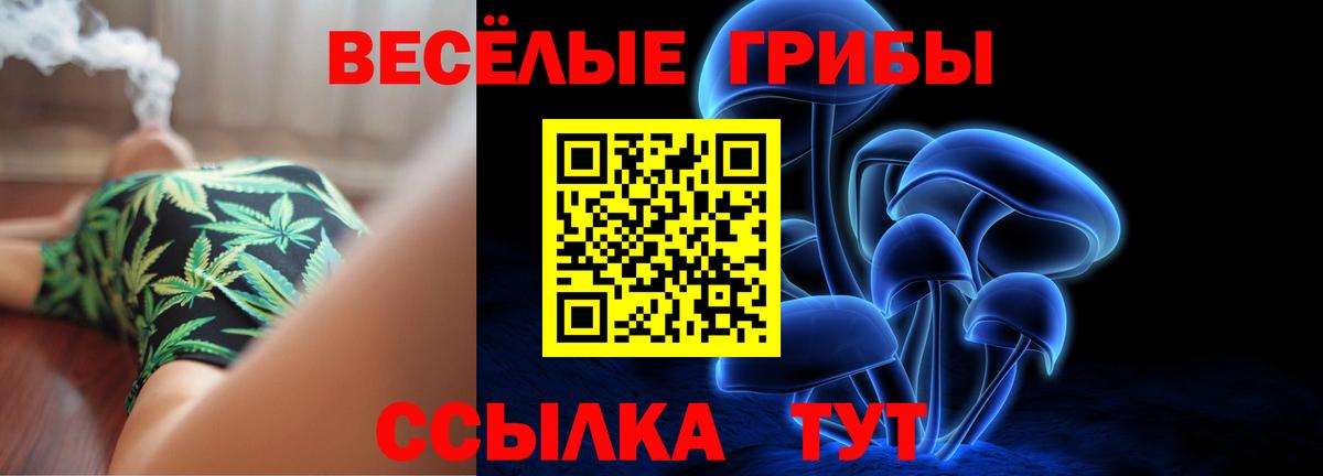 Псилоцибиновые грибы мицелий Коркино